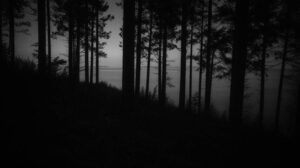 Закон о рубках на Байкале готовят к принятию без научной оценки РАН