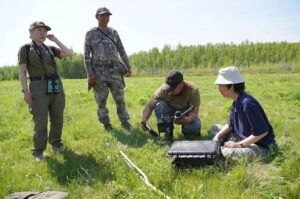 Спасение стерха: Якутия создает международный центр охраны белого журавля