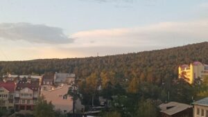 Народная инициатива: жители Читы отстояли право на городской лес