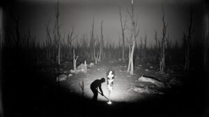 Высадка деревьев в Приморье: отчетный успех или капля в море тайги?