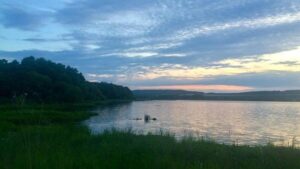 В Хабаровске потратят миллионы на ликвидацию водохранилища с редкими птицами