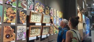 Полет бабочки: в музее Бурятии показали уязвимый мир живой природы