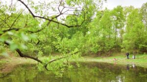 Будущее питомника Лукашова: между мусоровозами и детской железной дорогой