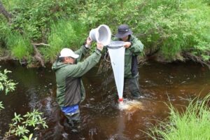 Донные отложения озера на Чаянде раскроют столетнюю историю экоизменений