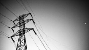 Безопасное небо: в Мирном энергетики начали защищать птиц от ЛЭП