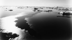 Экосистеме Арктики угрожает масштабное опреснение океанских вод