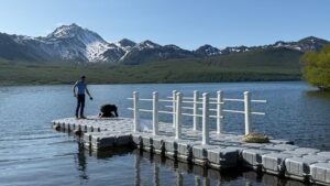 Курильское озеро: хрупкий баланс между туристом и диким медведем