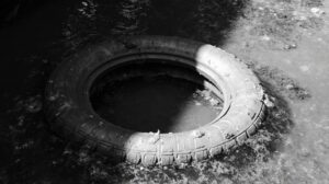 Озеро у Океанской: волонтеры Приморья восстанавливают природу