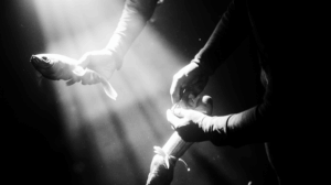 В Якутии хотят в разы снизить штрафы за вылов ценной рыбы