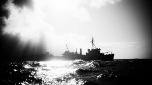 Цена лосося: новый закон ставит под угрозу рыбные запасы Дальнего Востока