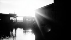 Кета из пробирки: камчатские реки теряют дикую душу?