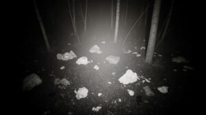 «Большой брат» приходит в тайгу: спасут ли фотоловушки леса Забайкалья?