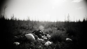 Свалки в заповедной зоне Хабаровска: кто портит природу Дальнего Востока?