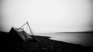 Браконьерский улов: 71 нарушение за неделю на Камчатке и Чукотке