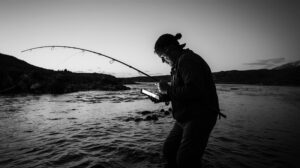 Горбуша через «Госуслуги»: чем обернется эксперимент для рек Камчатки?