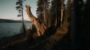 Байкал под топор: что стоит за разрешением на рубки в заповедной зоне?