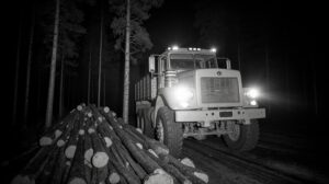 Якутия отстояла леса: суд расторг договор с еще одной иркутской компанией