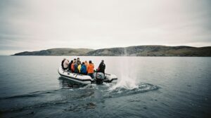 Романтика на Чукотке: готова ли хрупкая Арктика к наплыву туристов?