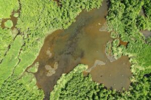 Беспилотники начали считать лосося на главных нерестилищах Камчатки