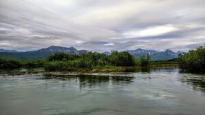 Камчатские ученые зафиксировали эволюцию рыб в реальном времени