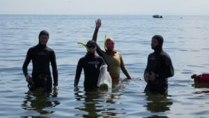 Камчатский краб в Приморье: экологический проект или будущий промысел?