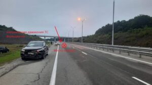 Потеря для природы: амурский тигр погиб на дальневосточной дороге