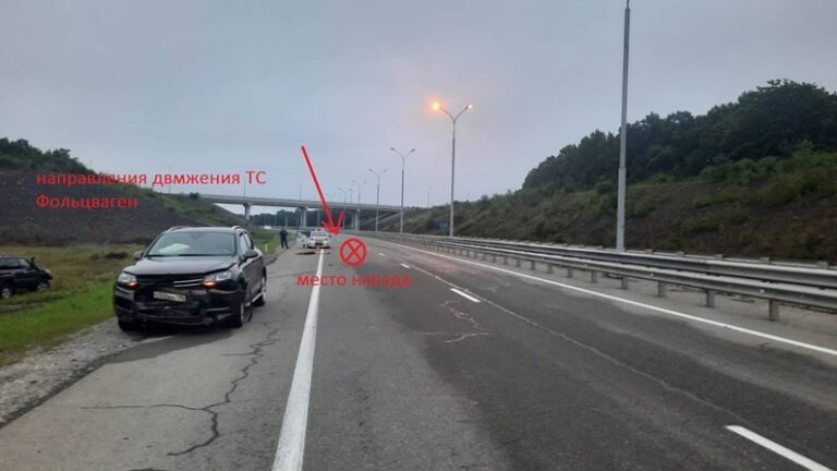 Потеря для природы: амурский тигр погиб на дальневосточной дороге