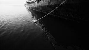 Токсичное дно залива: на Сахалине убирают затонувшие корабли-загрязнители