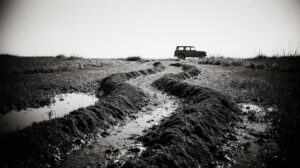 Эксперимент на Байкале: природа лечит себя там, куда не пускают туристов