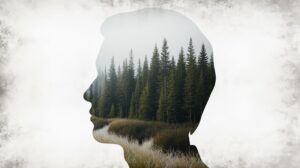 Защитникам природы Сибири и Дальнего Востока помогут юристы-стажеры