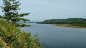 Судьба Огорона: крупнейшее озеро Приамурья мелеет на глазах