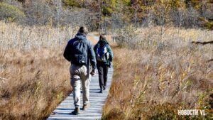 Заповедник и люди: как Терней стал центром экотуризма на краю земли