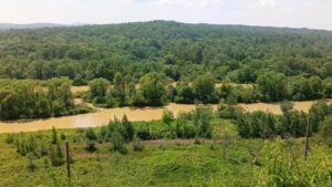 «Бира умирает»: почему штрафы не спасают главную реку ЕАО