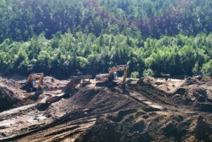 Ущерб лесу на миллионы: в Приамурье остановили добытчиков золота