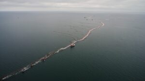 Гигантские сети на Сахалине: рыбаки уничтожают будущее красной рыбы