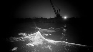 Пустые реки Сахалина: куда исчезла легендарная горбуша?