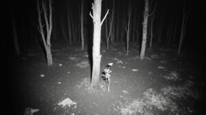 Огненный шторм: пять заказников Забайкалья уничтожены пожарами