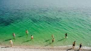 Изумрудная вода и странный запах: что происходит с озером Ханка