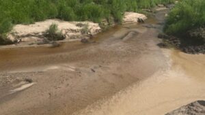 Масштабное загрязнение реки Якчи: нормативы превышены в сто раз