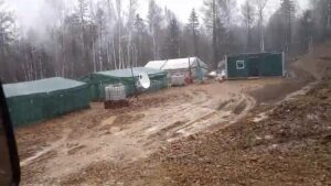 Незаконный поселок золотарей в ЕАО уничтожил участок леса