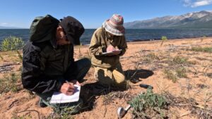 Чивыркуйский перешеек: антропогенная нагрузка меняет ландшафт Байкала