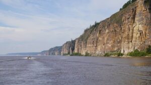 Из Якутии в прошлое: экспедиция изучает следы первых животных планеты