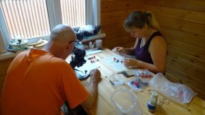 Ученые открыли десятки новых для Приамурья видов насекомых