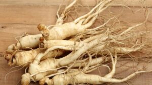 Продавал женьшень онлайн: браконьеру в Приморье грозит до 6 лет колонии