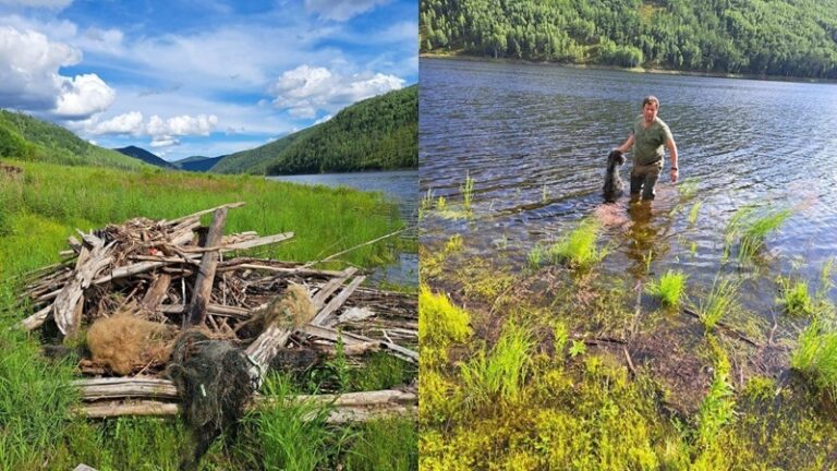 В Приамурье очистили от сетей и мусора десятки километров водоемов