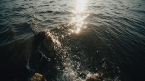 Ущерб от нефтепровода ВСТО на Зее компенсировали зарыблением