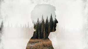 &laquo;Право &ndash; природе&raquo;: продлен прием заявок на конкурс для экоюристов