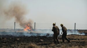 Огонь на границе: Забайкалье ищет способ тушить пожары вместе с Монголией
