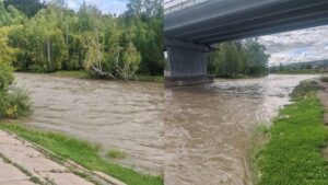 Жители Забайкалья винят золотодобытчиков в загрязнении реки Кручина