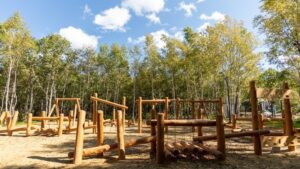 Ботанический сад на Сахалине: цена комфорта для уникальной экосистемы